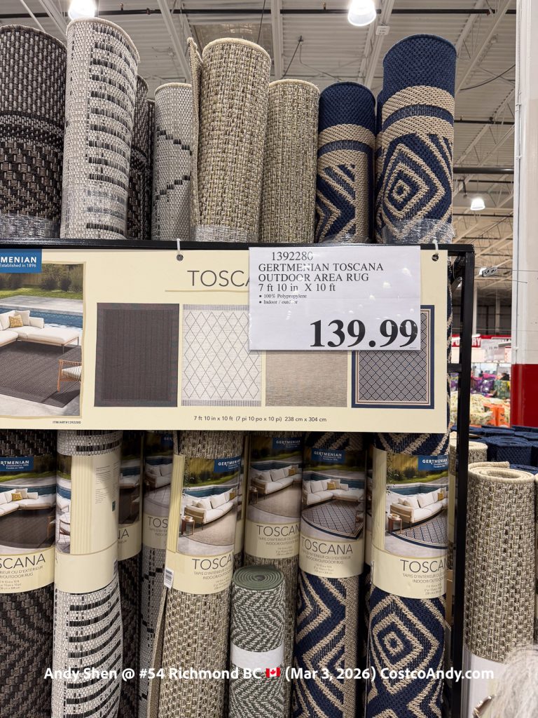 TOSCANA OUTDOOR AREA RUG 7’10” X 10′