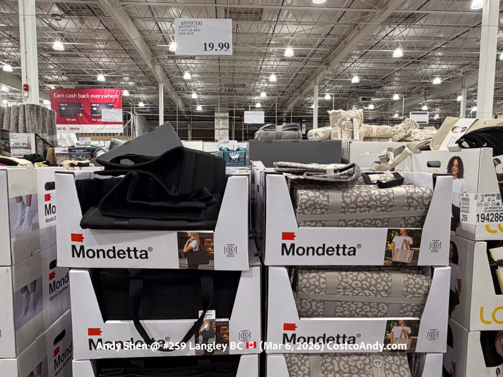 MONDETTA CANVAS BAG ONE SIZE