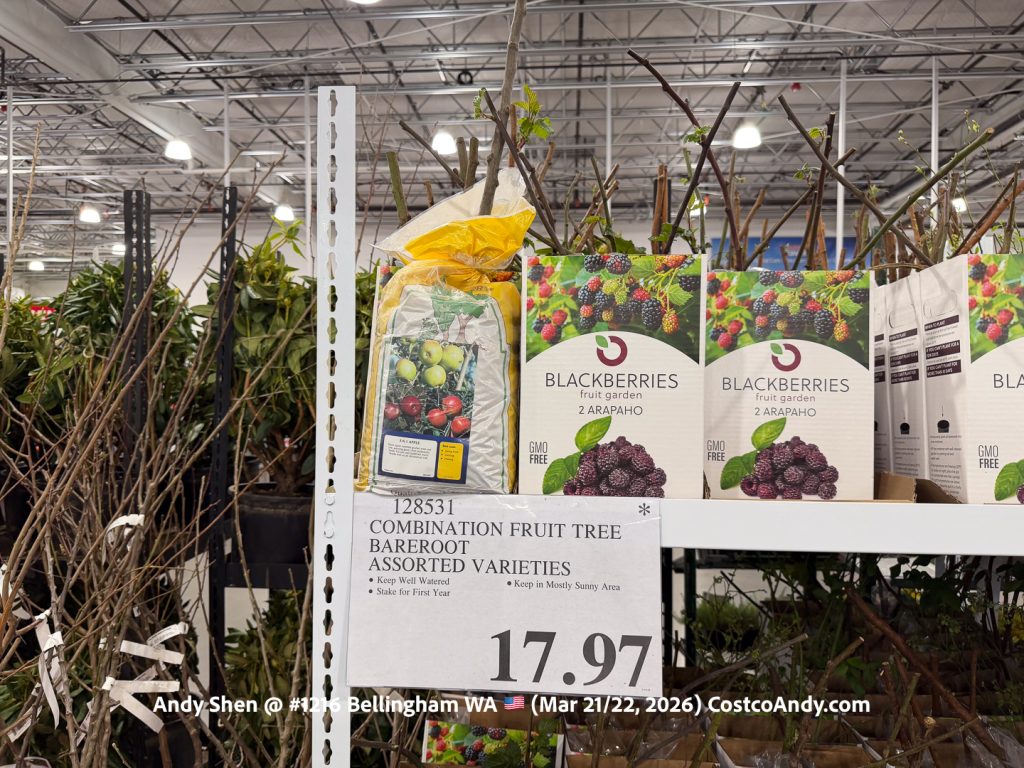 COMBINATION FRUIT TREE BAREROOT ASSORTED VARIETIES