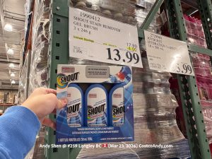 SHOUT STAIN REMOVER GEL BRUSH 3X246G