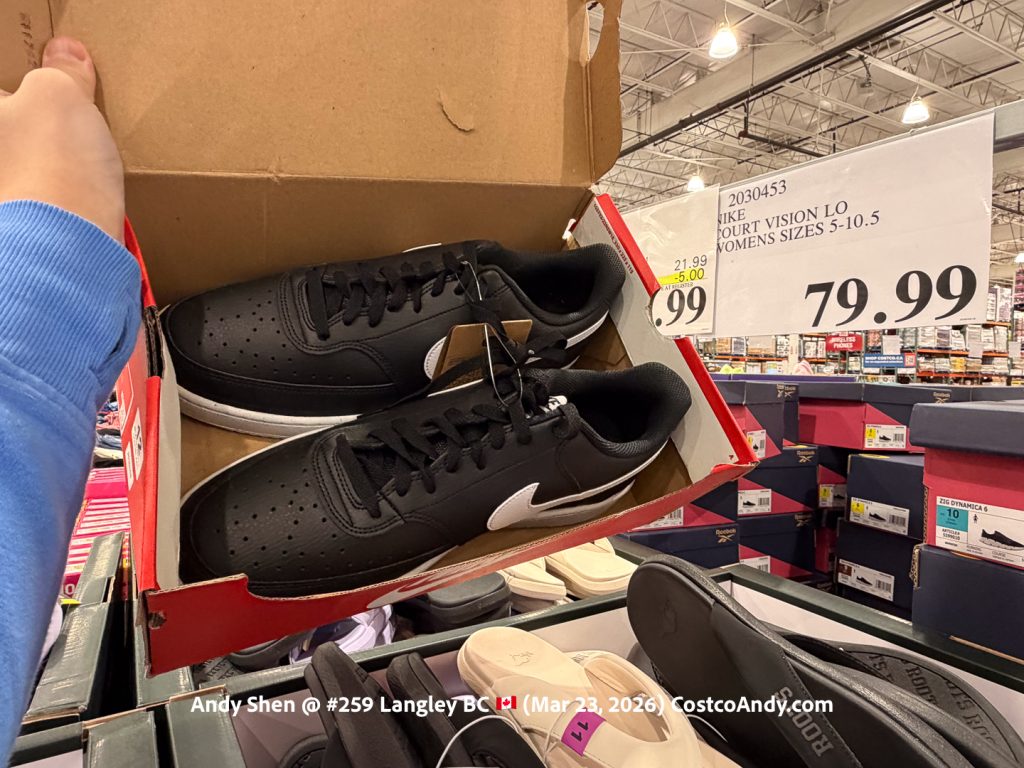 NIKE COURT VISION LO WOMENS SIZES 5-10.5