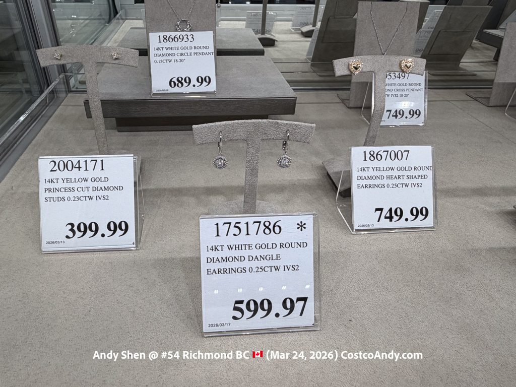 14KT WHITE GOLD ROUND DIAMOND DANGLE EARRINGS 0.25CTW IVS2