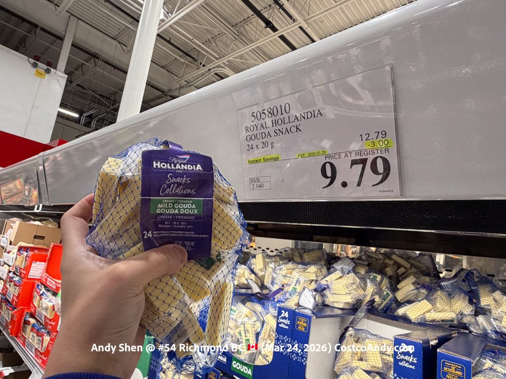 ROYAL HOLLANDIA GOUDA SNACK 24 X 20G