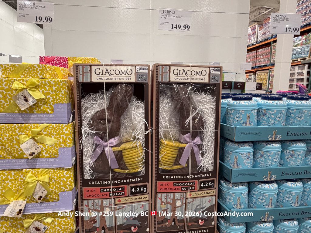 GIACOMO GIANT EASTER BUNNY 4.2KG