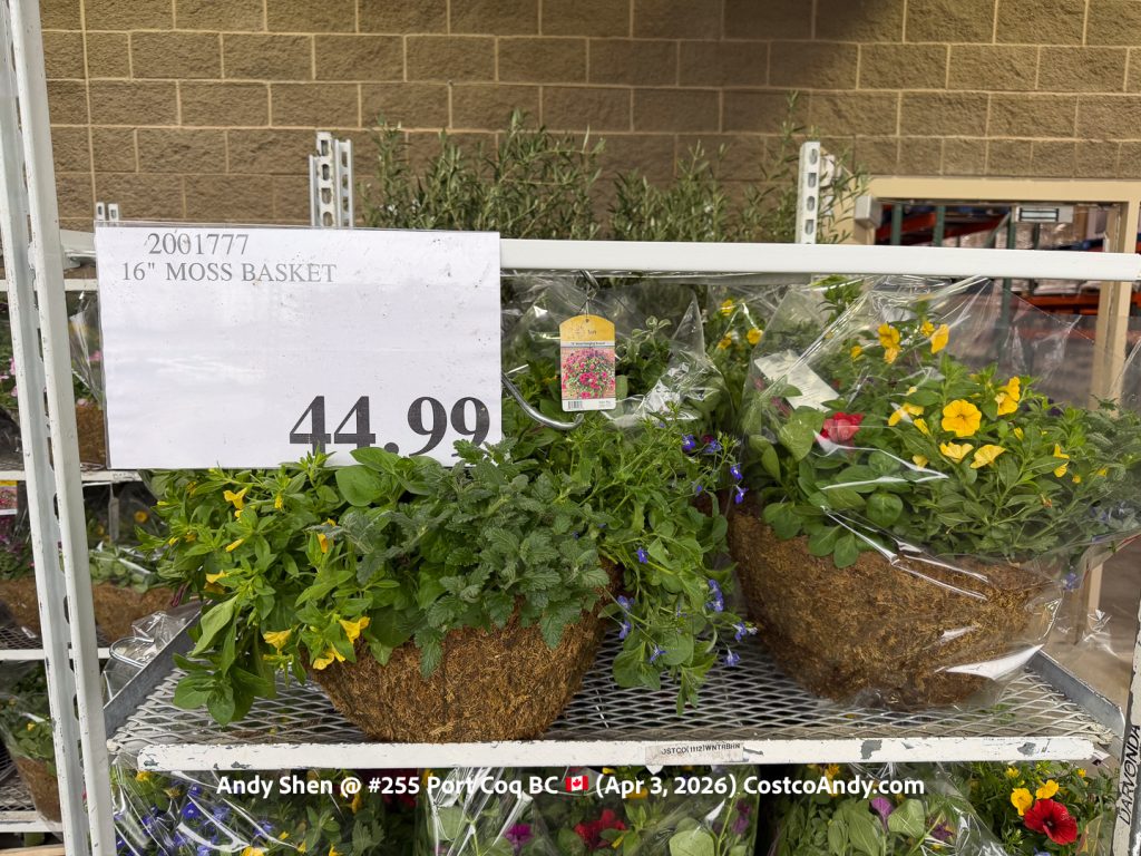 16″ MOSS BASKET