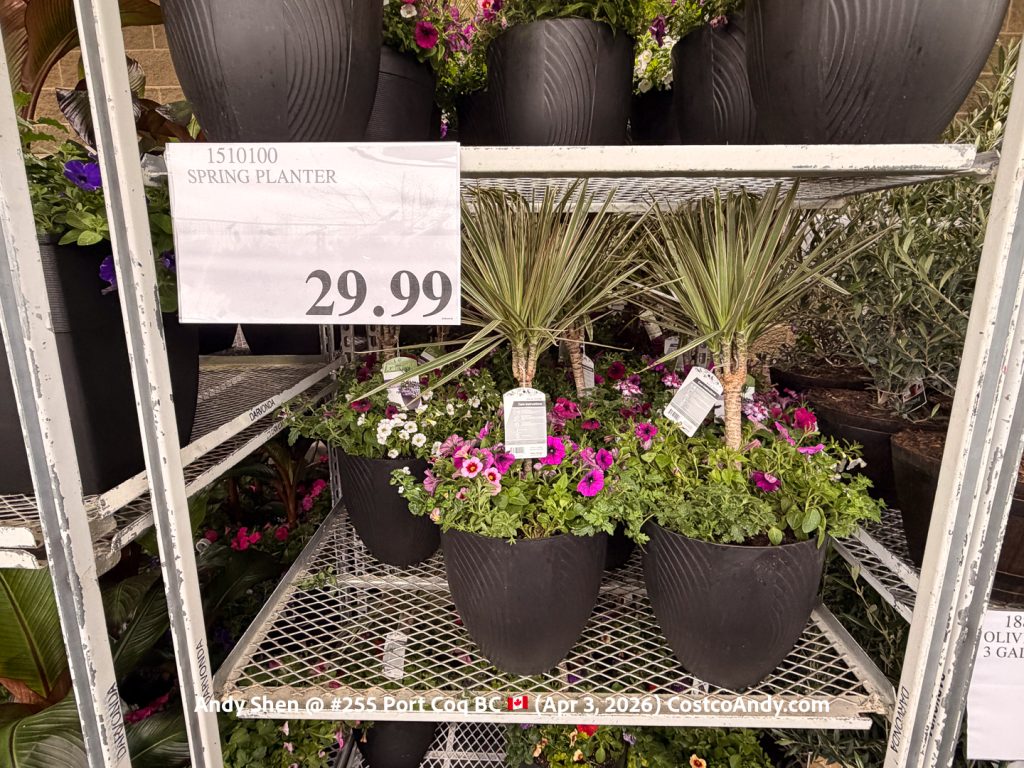 SPRING PLANTER