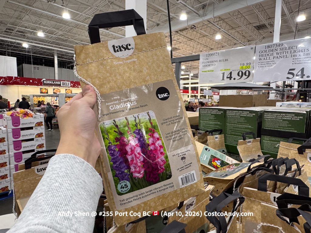 TASC FLOWERING BULBS ASSORTED